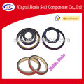 lead oil seals China auto parts